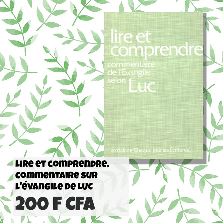 FRA Lire et comprendre Luc