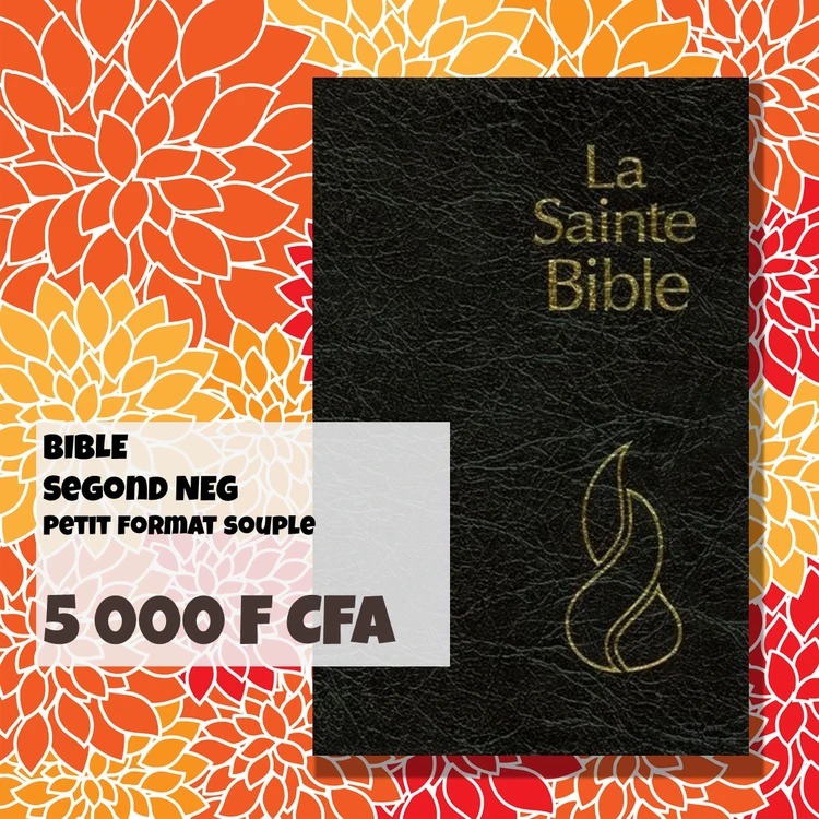 Bible Segond NSG petit noir