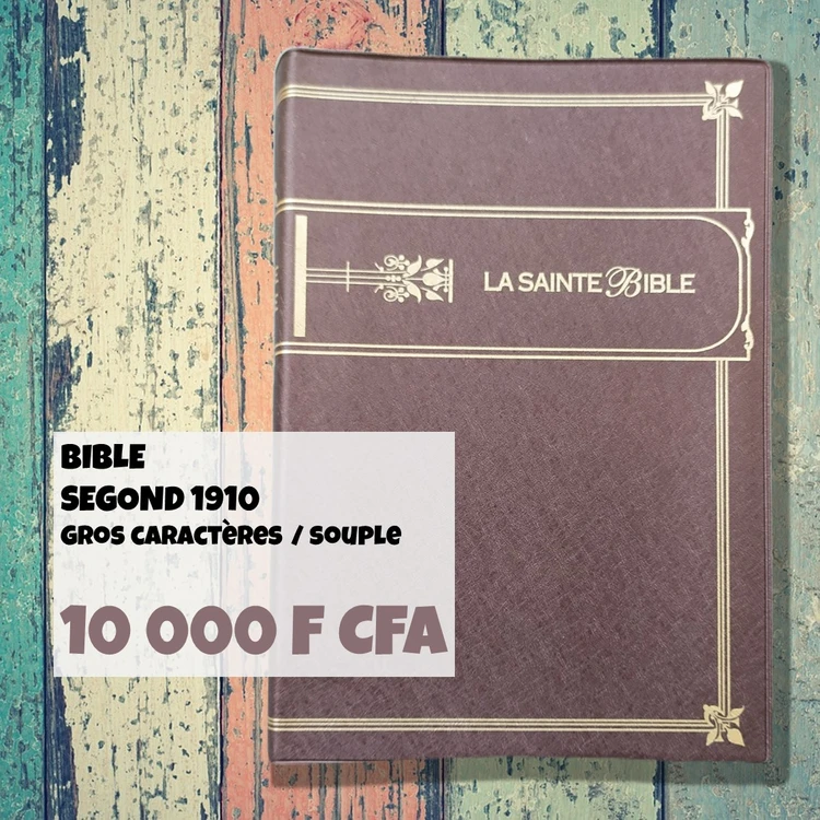 FRA Bible Segond 1910 souple grand